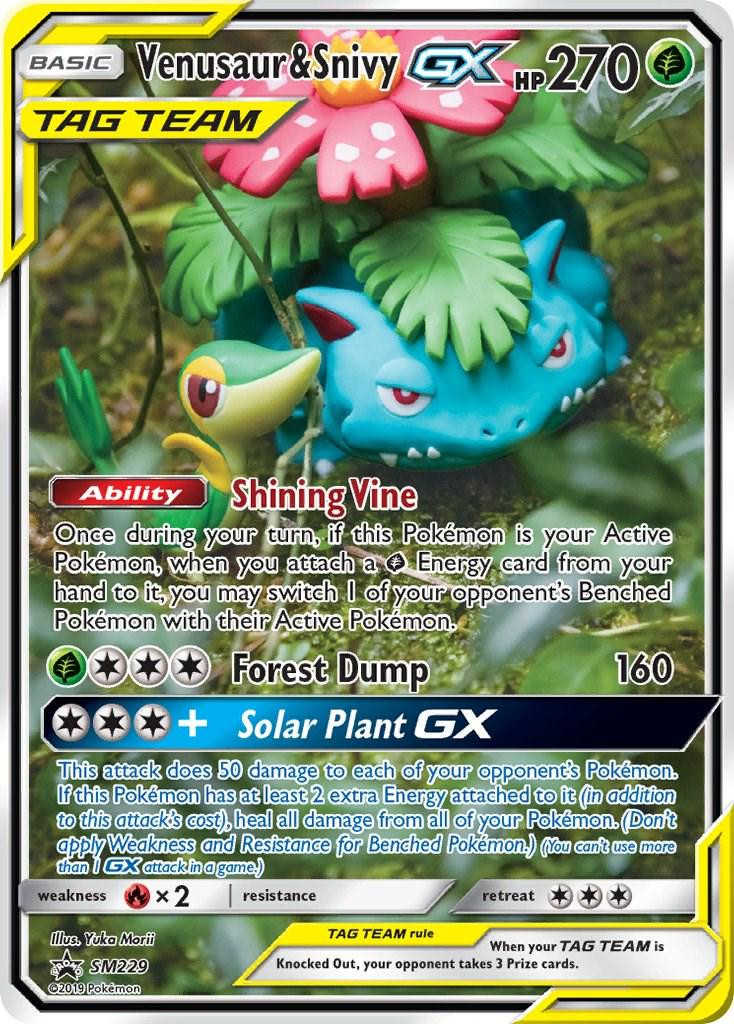 Venusaur & Snivy GX #229