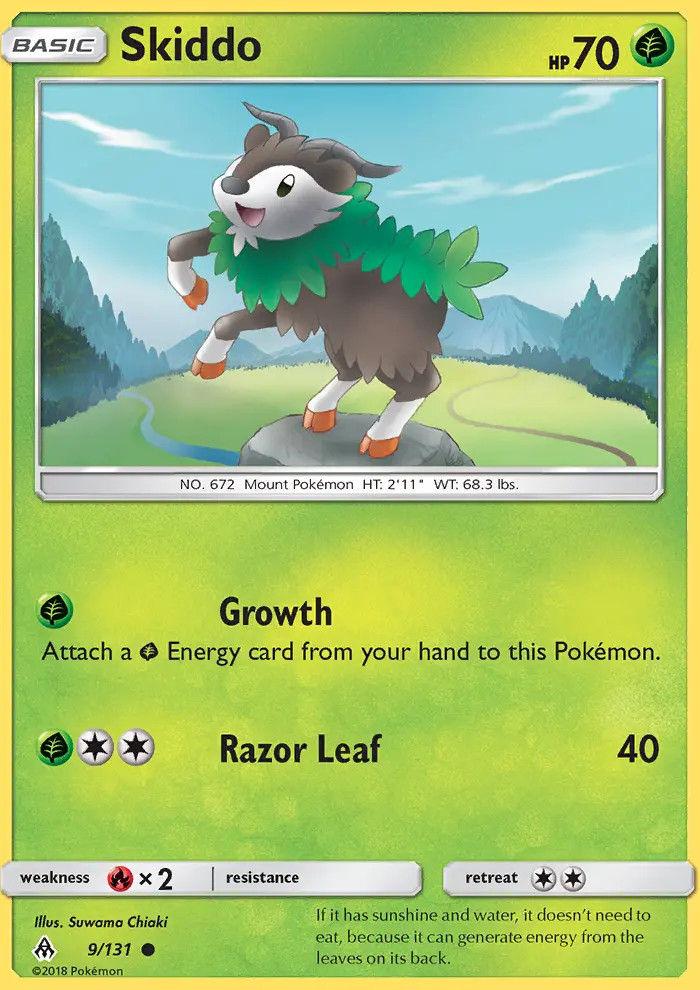 Skiddo #9