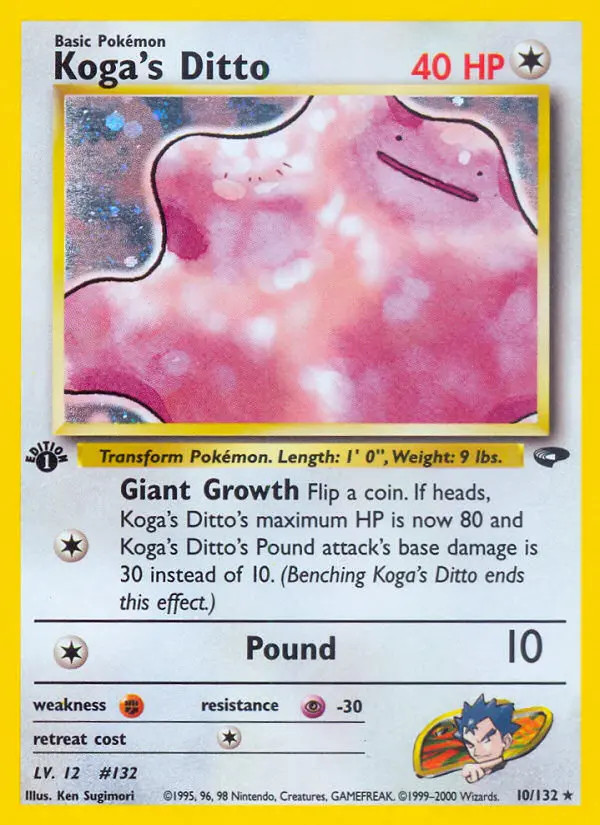 Koga's Ditto #10