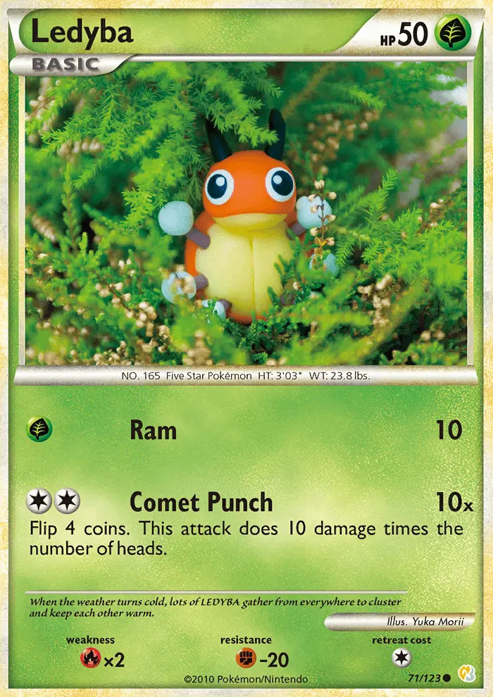Ledyba #71