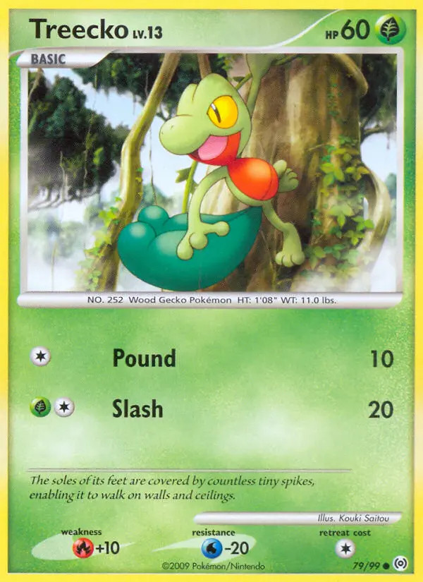 Treecko Lv.13 #79