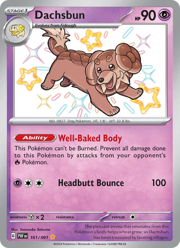 Dachsbun #161