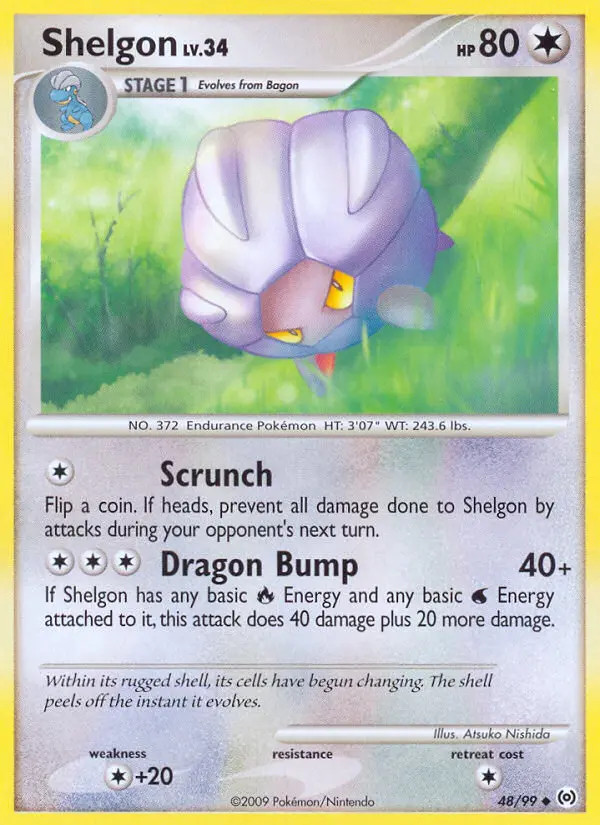 Shelgon Lv.34 #48