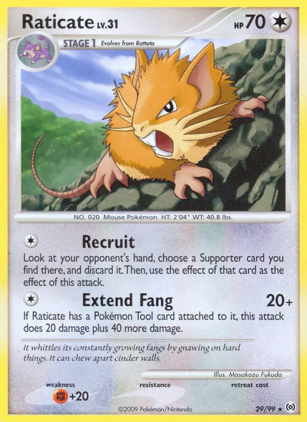 Raticate Lv.31 #29