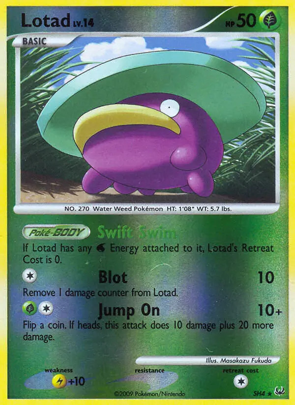Lotad Lv.14 #4