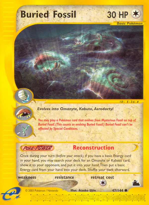 Buried Fossil #47