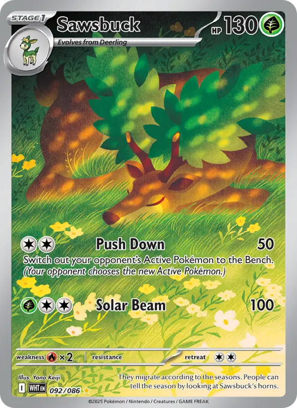 Sawsbuck #092 — White Flare