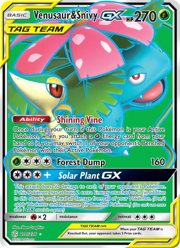 Venusaur & Snivy GX #210