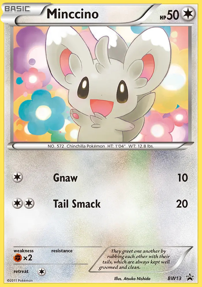 Minccino #13