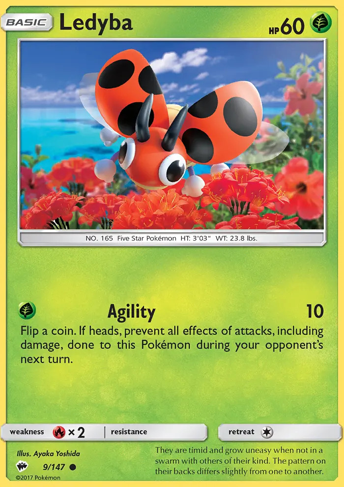 Ledyba #9