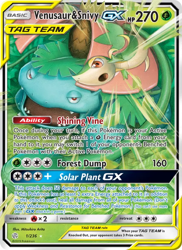 Venusaur & Snivy GX #1