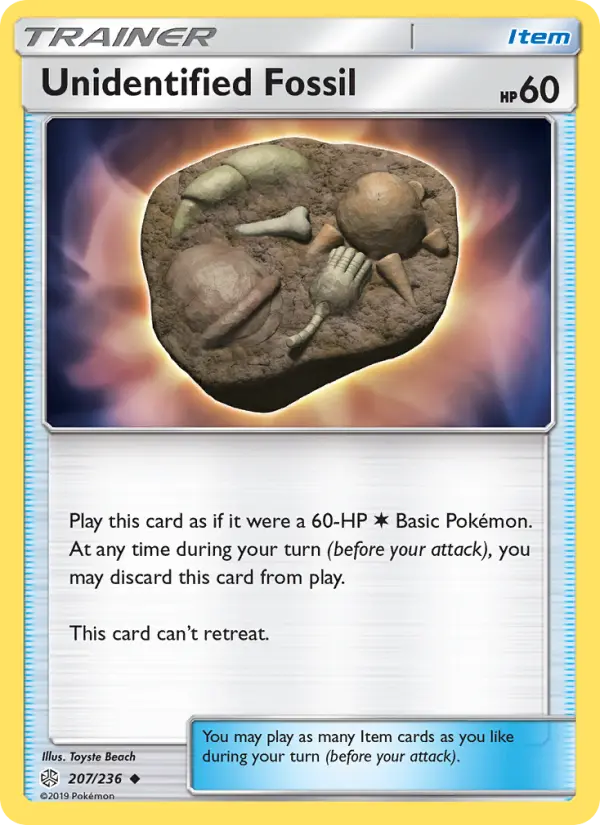 Unidentified Fossil #207