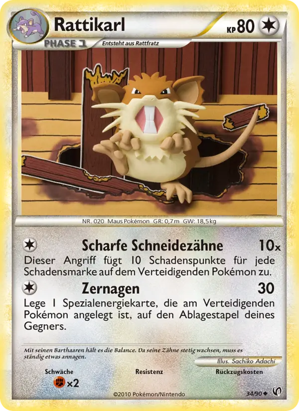 Raticate #34