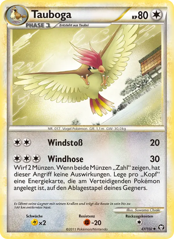 Tauboga #47