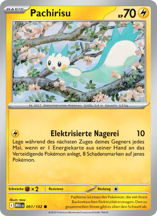 Pachirisu #051