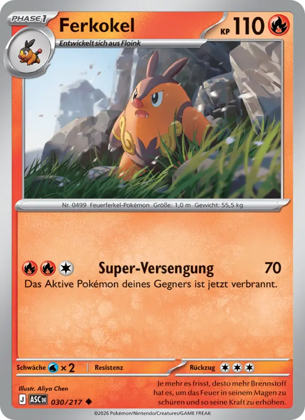 Ferkokel #030