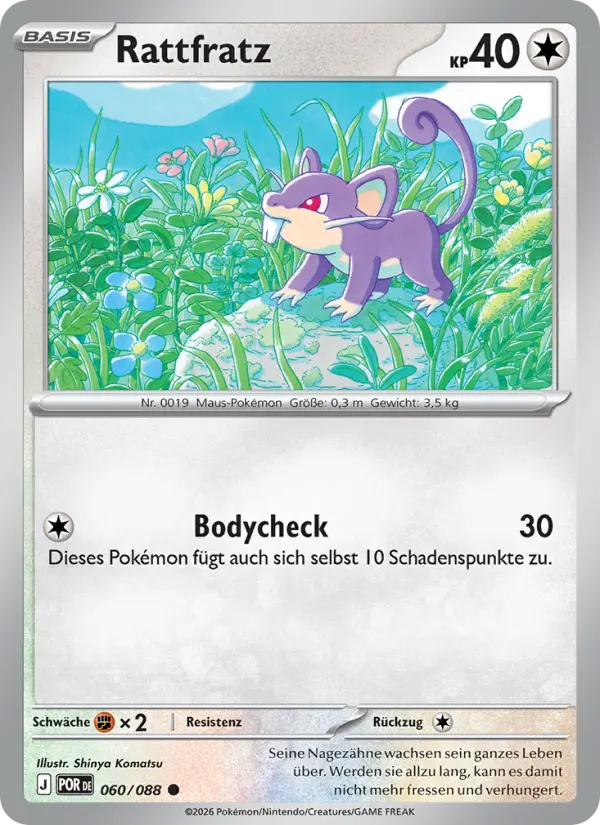 Rattata #060