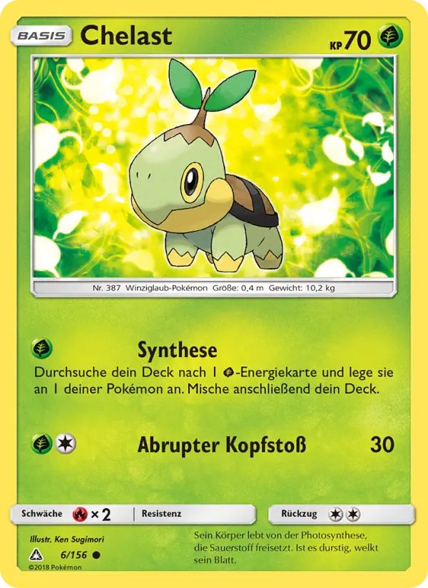 Turtwig #6