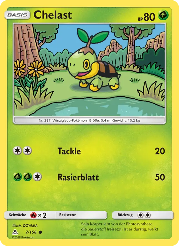 Turtwig #7