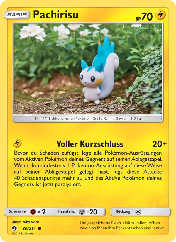 Pachirisu #80