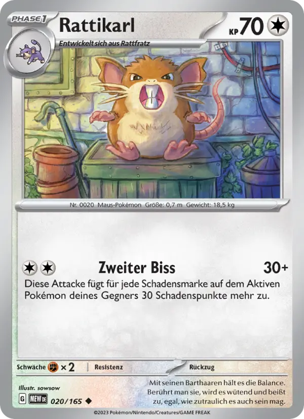 Raticate #020