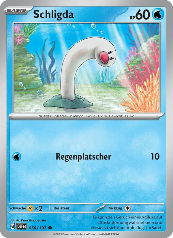 Schligda #058