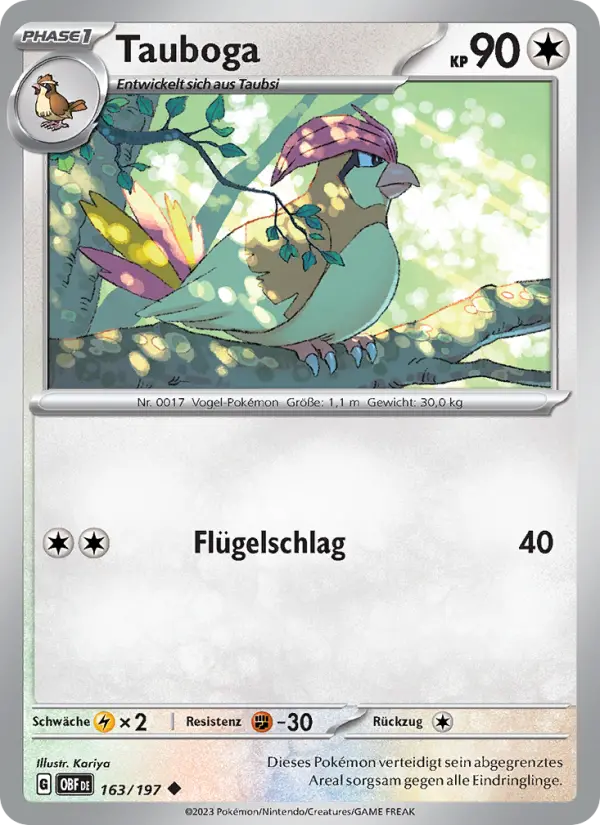 Tauboga #163