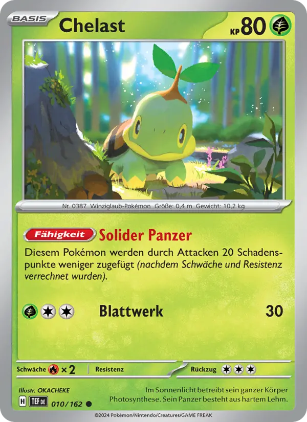 Turtwig #010