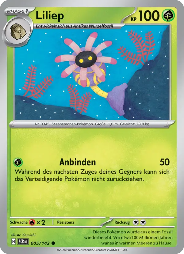 Liliep #005