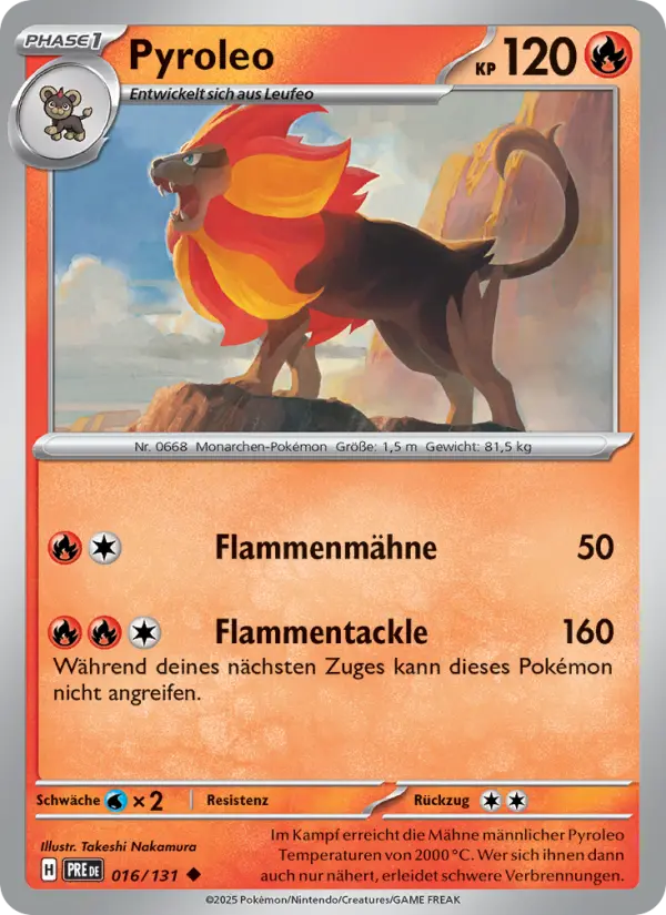 Pyroleo #016