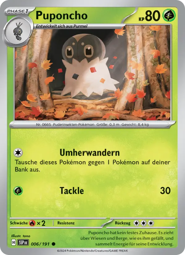 Puponcho #006