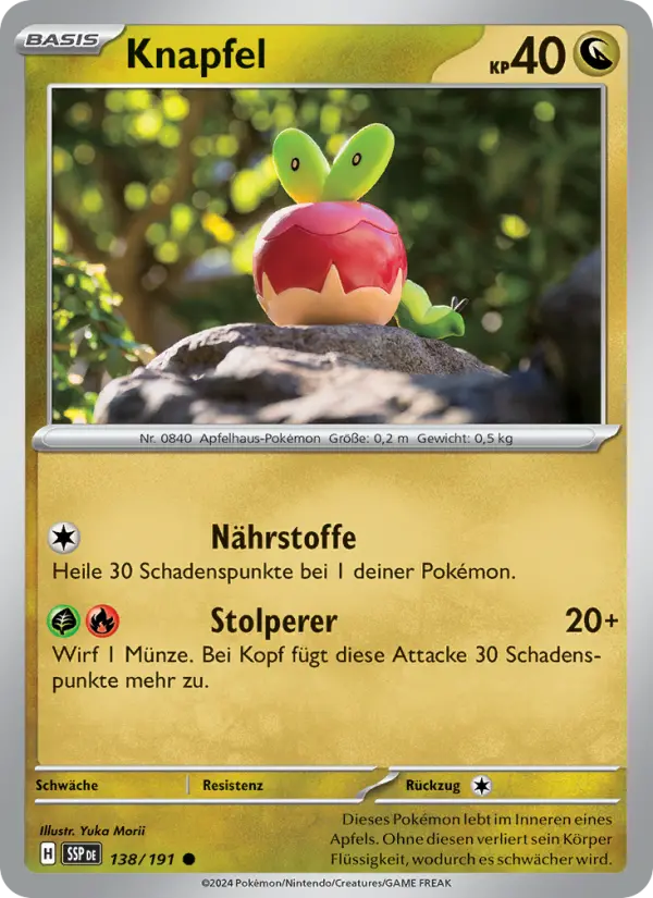 Knapfel #138