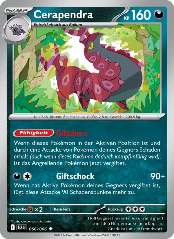 Cerapendra #056
