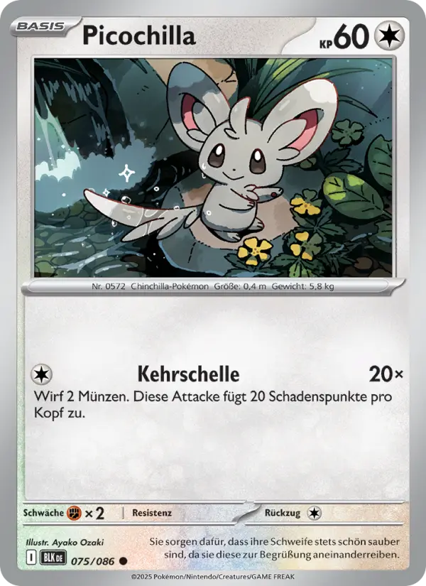 Picochilla #075