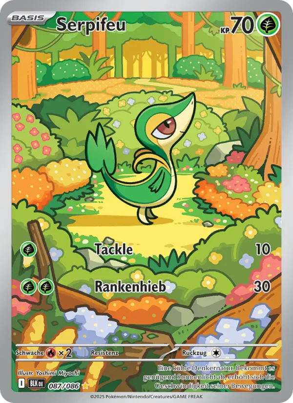 Snivy #087