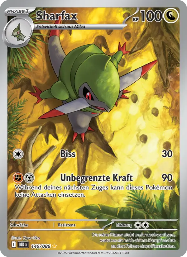 Sharfax #146