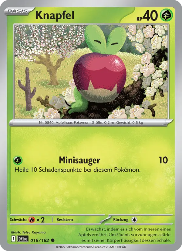 Knapfel #016