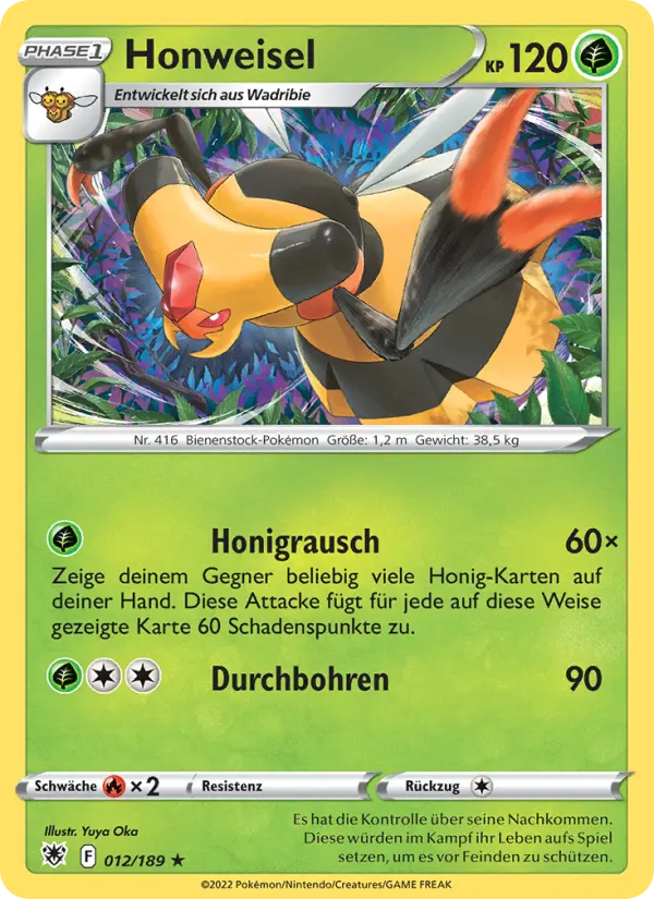 Hoothoot #12