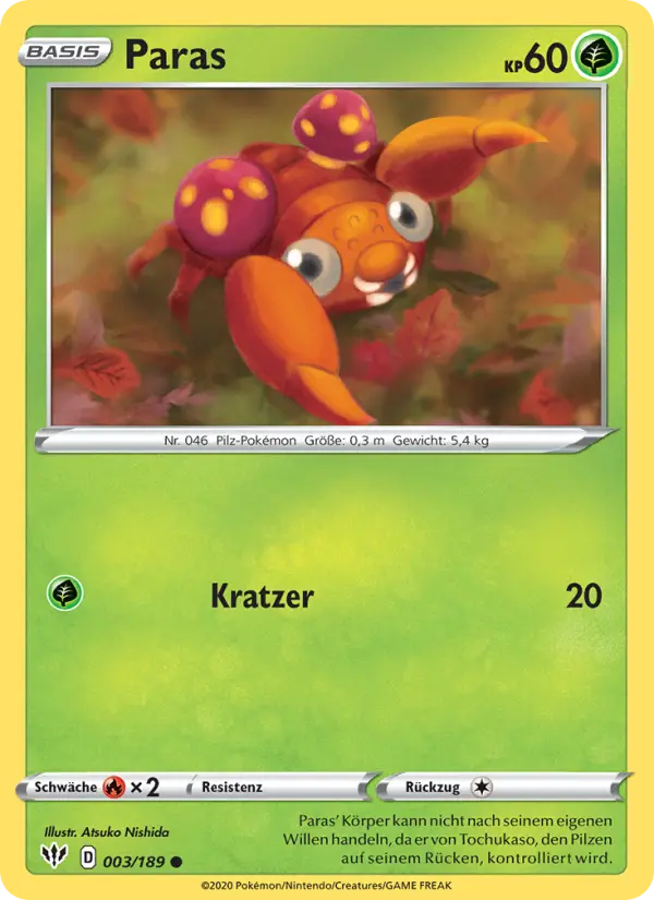 Paras #3