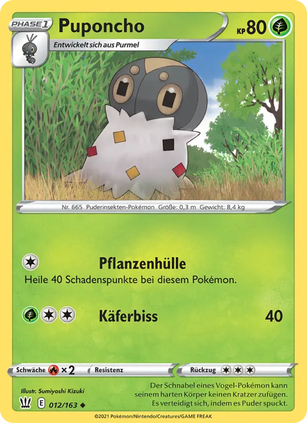Puponcho #12