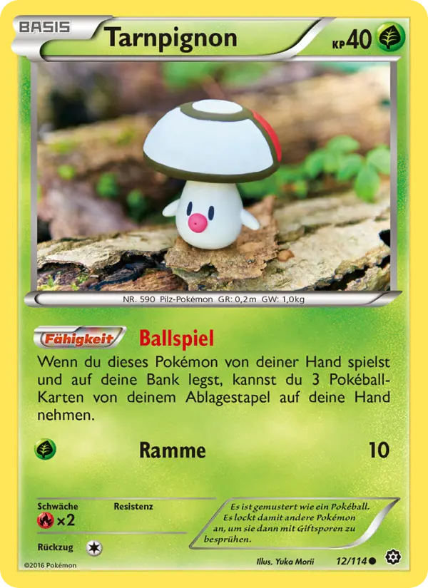 Tarnpignon #12