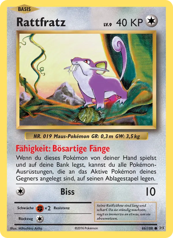 Rattata #66