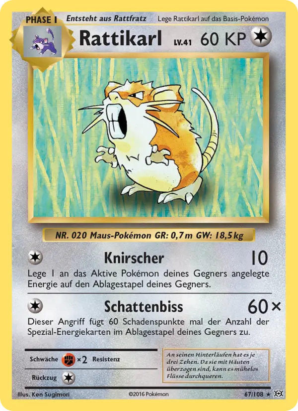 Raticate #67