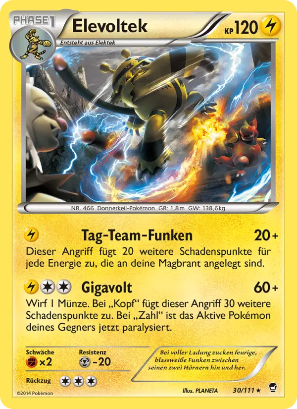 Electivire #30