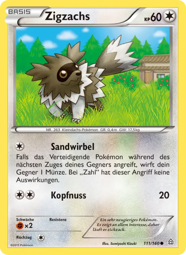 Zigzagoon #111