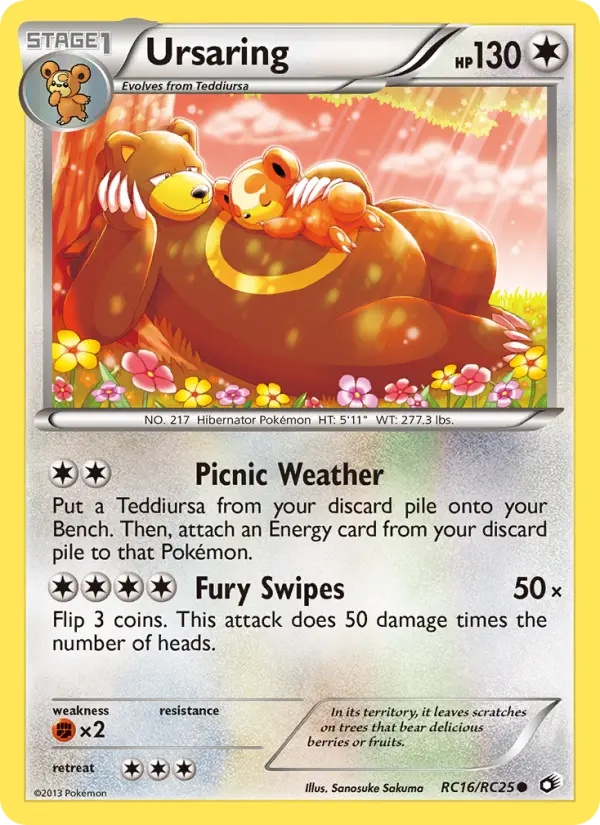 Ursaring #16