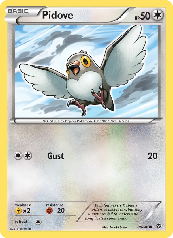 Pidove #80