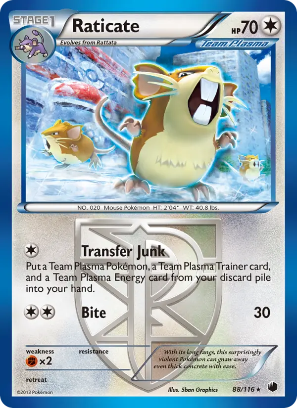 Raticate #88