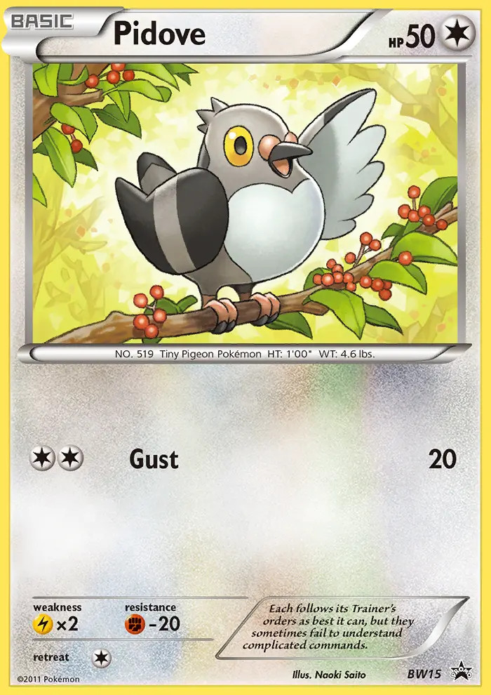 Pidove #15
