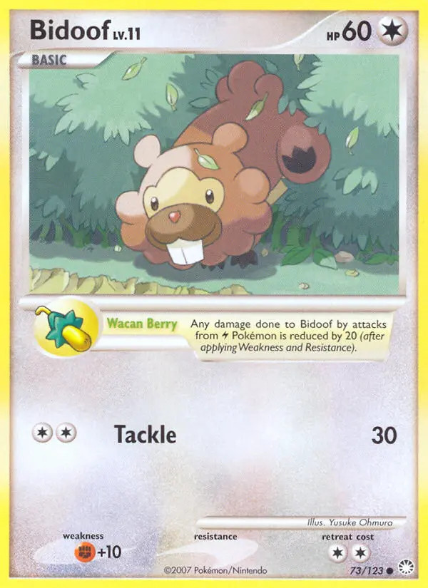 Bidoof Lv.11 #73